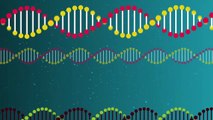 Gene Code MOA | DNA MOA |  Auto-Immune Disease MOA - Equisolve