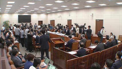 與 "강경 대응해야" vs 野 "정부 무대책"...국회 외교통일위 '日 통상 보복' 공방 / YTN