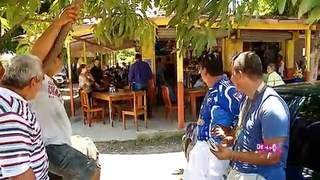 dbb-jeautin-campos-020719