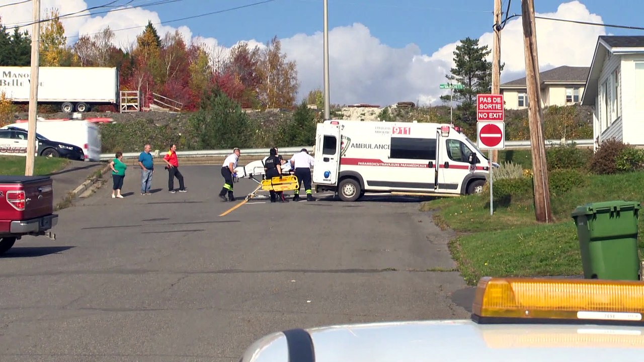 Plus de mordant à la loi sur le contrôle des chiens