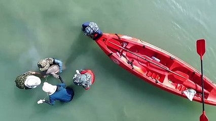 Cría huérfana de dugongo se convierte en sensación en Tailandia