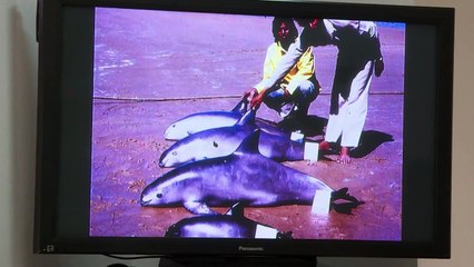 Patrimônio Mundial em perigo