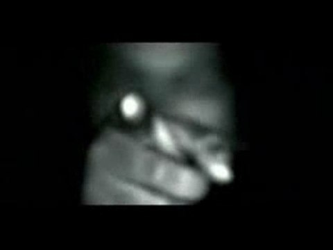 ice cube gangsta rap made me do it