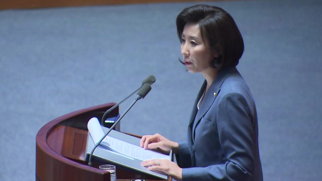 '수석대변인' 발언 나경원 이번엔 "신 독재" / YTN