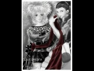 .:Shikamaru & Temari:.