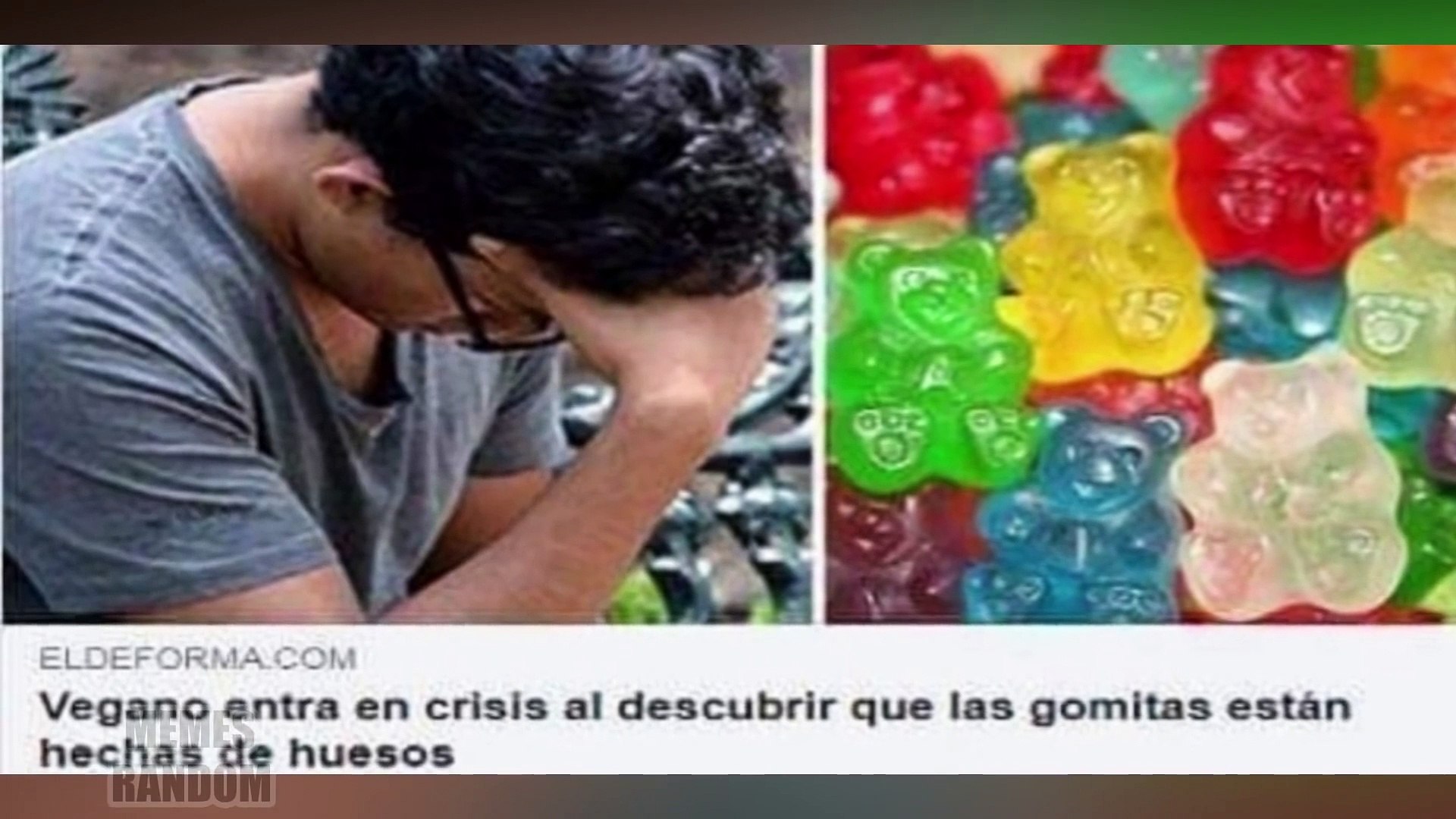 MEMES RANDOM #29