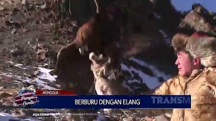 DUNIA PUNYA CERITA - Berburu Dengan Elang