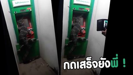 เมื่อแขกไม่ได้รับเชิญ โผล่ตะกายตู้ ATM