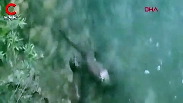 Erzincan'da cep telefonuyla görüntülendi