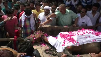 घोड़े ने अपनी जान देकर बचाई कई लोगों की जान, सम्मान से निकली अंतिम यात्रा