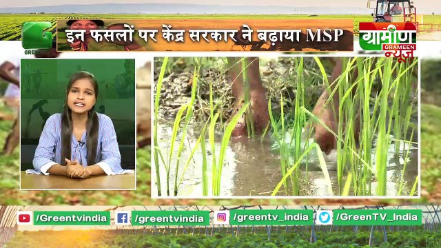 Kisan Bulletin - इन फसलों पर केंद्र सरकार ने बढ़ाया MSP | Kisan Bulletin 04 July 2019 | Grameen News