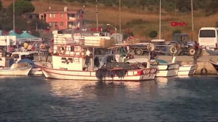 DENİZLERİMİZDE 450 İSTİLACI TÜR TEHDİDİ