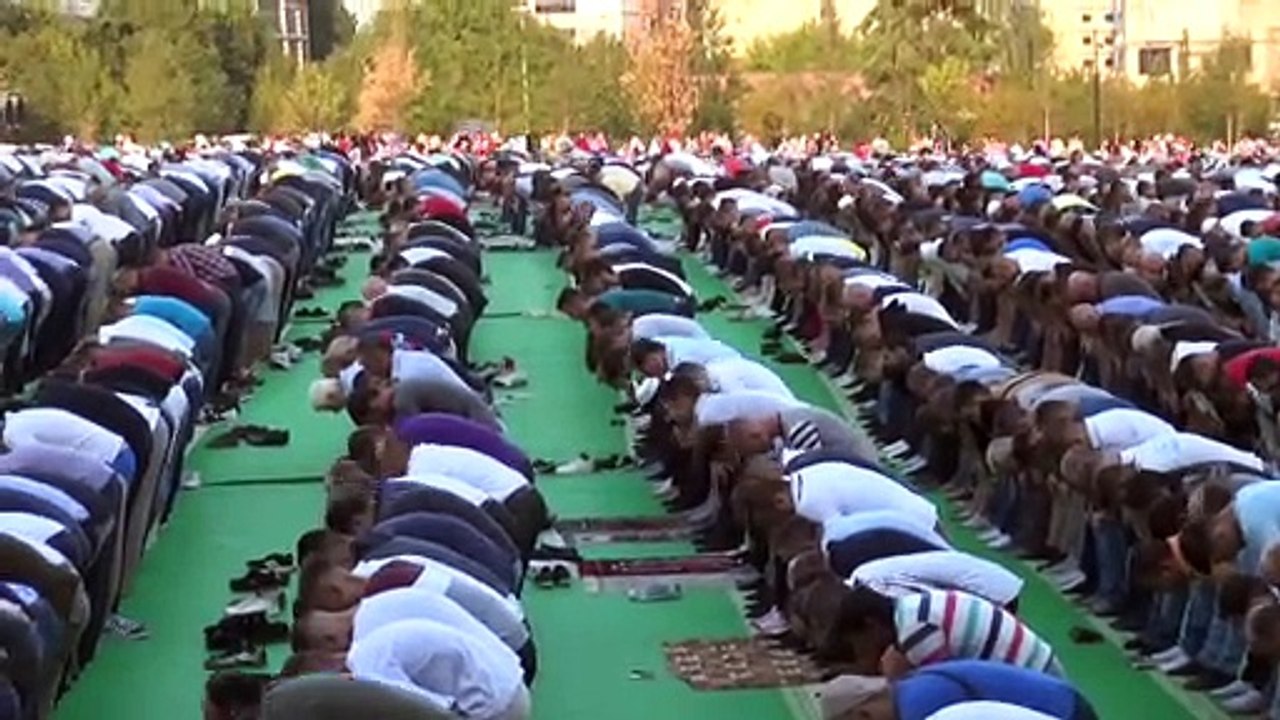 İHH kurban fiyatını belirledi