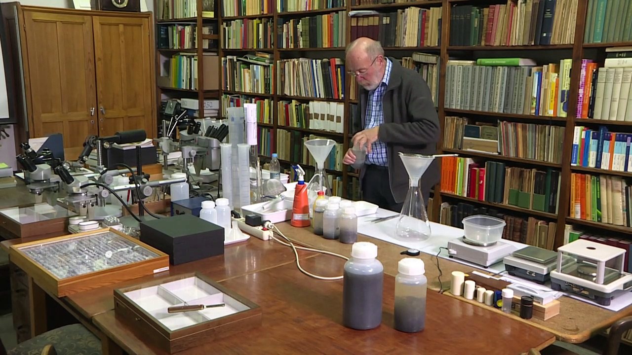 Insektensterben: Hobbyforscher schlagen Alarm