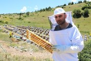 Kilosu 8 bin liraya satılan arı sütünde taleplere yetişemiyor