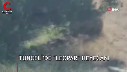 Tunceli'de görüntülendi... Büyük heyecan yarattı