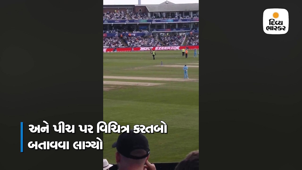 ચાલુ મેચમાં નગ્ન વ્યક્તિ સિક્યોરિટી તોડી મેદાન પર આવી ગયો