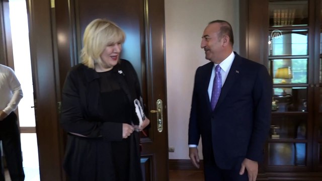 Çavuşoğlu, Avrupa Konseyi İnsan Hakları Komiseri Mijatovic ile görüştü - ANKARA
