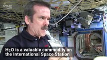 Astronauts' Sweat and Urine are Turned Into Drinking Water on the ISS