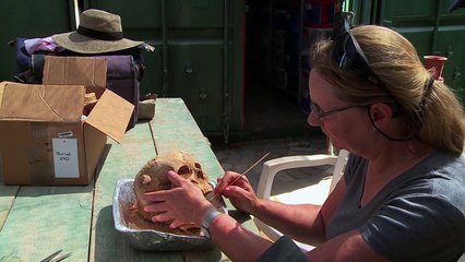 Philister waren offenbar Europäer