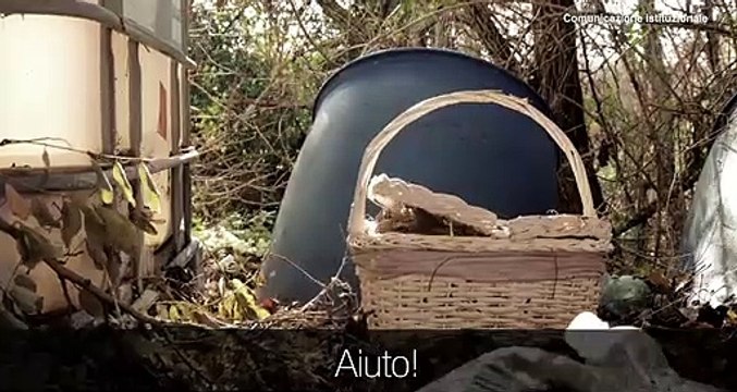 Campagna. L'abbandono degli animali è reato il video con Pannofino e Rex (04.07.19)