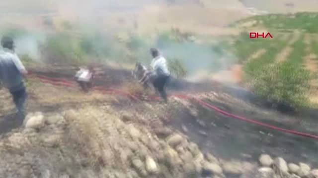 Siirt'teki yangında fıstık ve üzüm ağaçları küle döndü