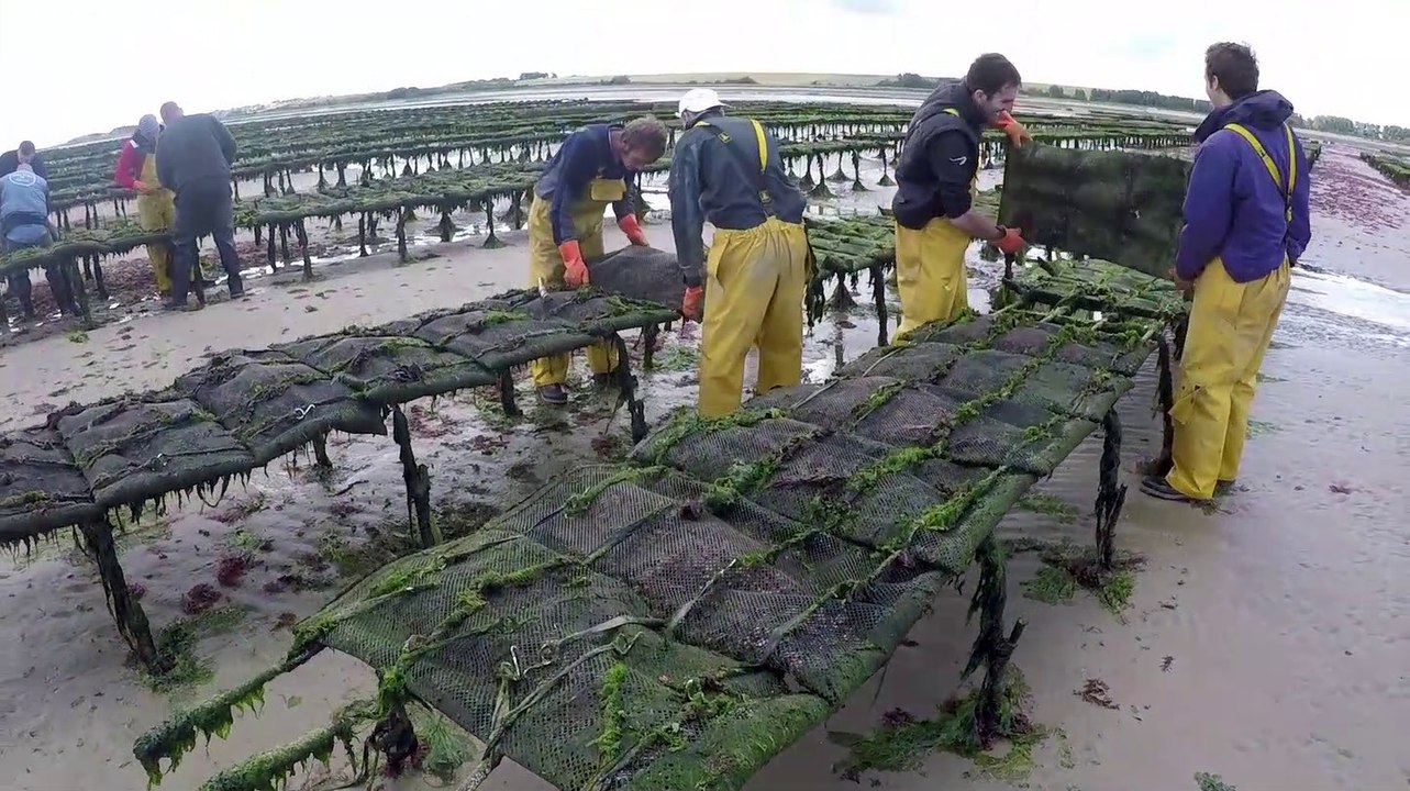 Les gourmandises d'Asnelles ! (Calvados)