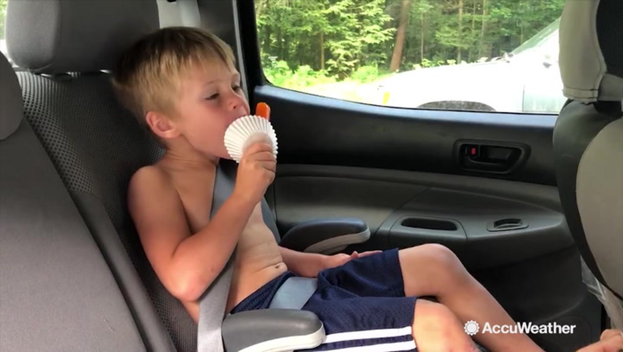 Top tips for summer road trips with kids