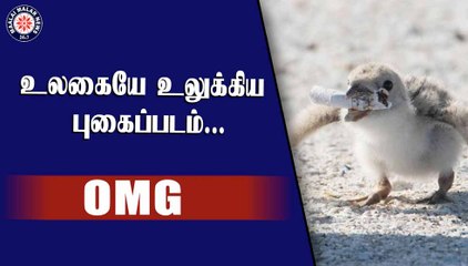 உலகையே உலுக்கிய  புகைப்படம்...