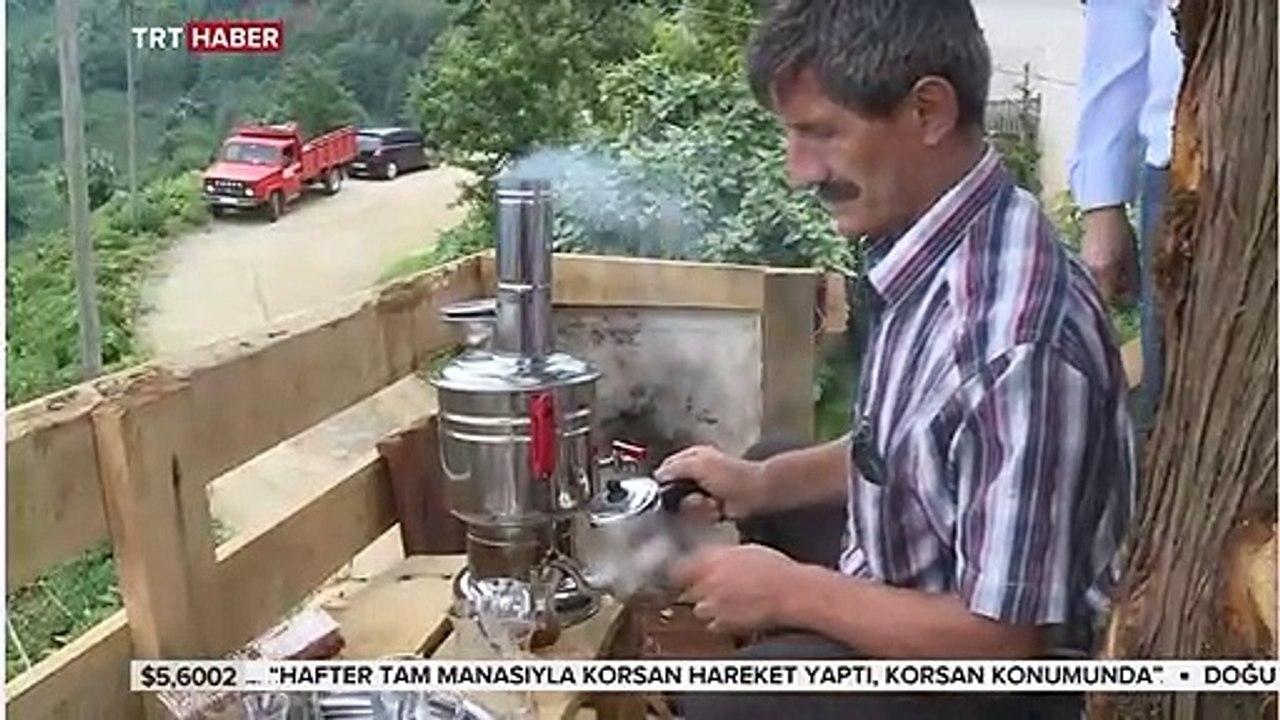 Rize'de çam ağacına seyir terası yaptı / ağaca seyir terası