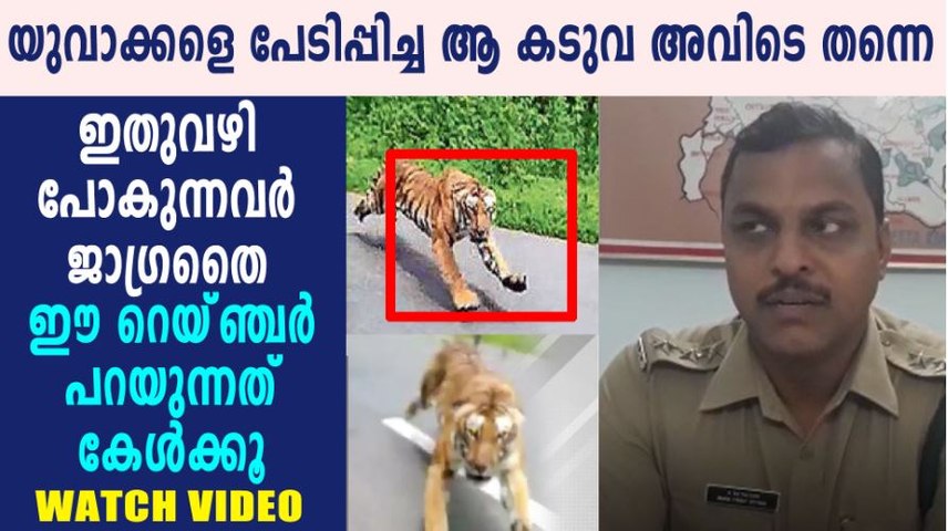cmsvideo