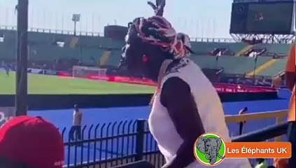 Revivez les réactions les plus hilarantes sur le match Cote d'ivoire vs Maroc !