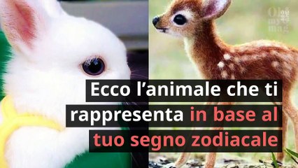 Ecco l’animale che ti rappresenta in base al tuo segno zodiacale  5741