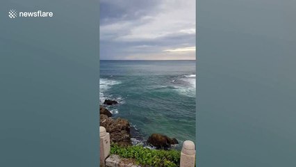 Tourist rescued after being dragged out to sea in Taiwan