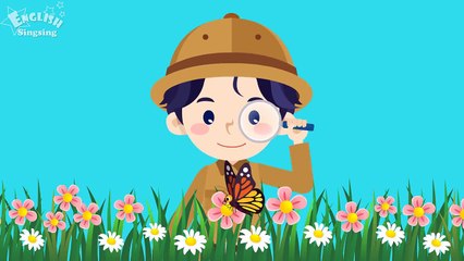 Kids vocabulary - Bugs - Learn English for kids - English educational video