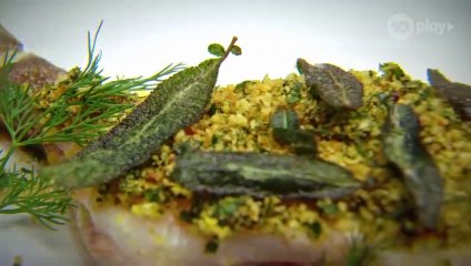 MasterChef Season 11 Episode 49