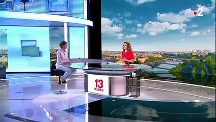 Moustiques tigres : Quels sont les risques de contamination ?