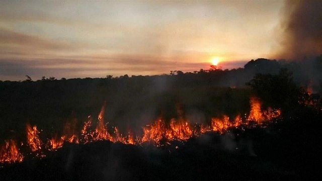 Desflorestação na Amazónia dispara
