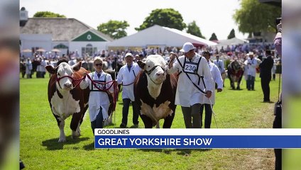 GOODLINES: 5th July 2019