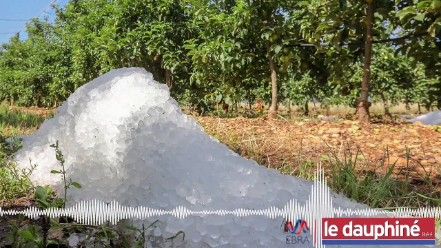 PODCAST « En 10 minutes de grêle, les agriculteurs drômois ont perdu 70 millions d’euros »