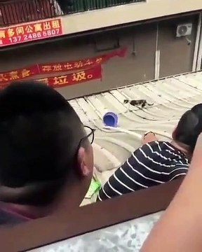 Très Émouvant ! Des gens vont tout faire pour sauver ce chat coincé sur un toit en tuile !