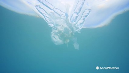 Keeping beaches clean for the Fourth of July