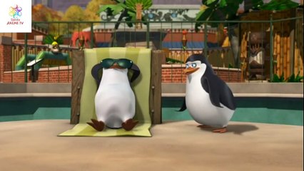 LOS PINGUINOS DE DE MADAGASCAR - JUSTO A TIEMPO