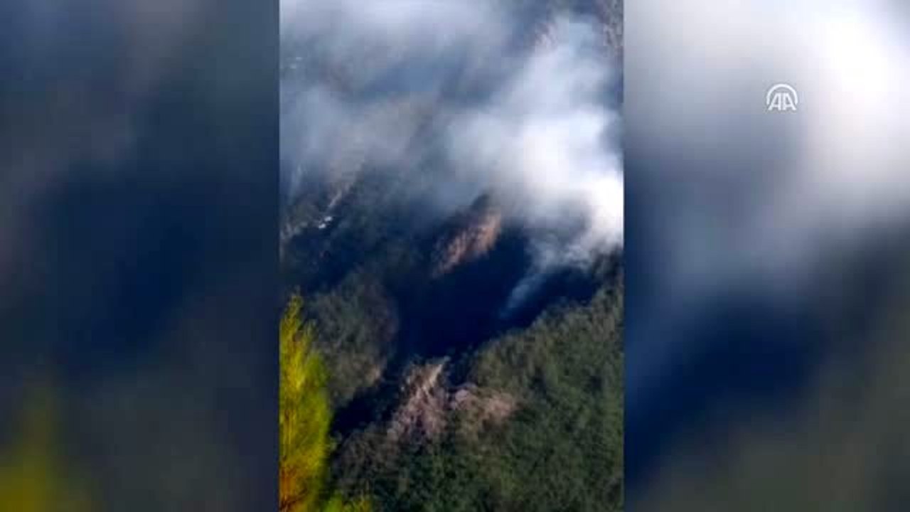 Amanos Dağları'nda orman yangını