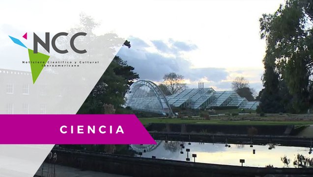 El origen y las especies: la ciencia contra la tala ilegal