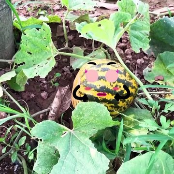 Everything Is Better With Doodles Cutefood Doodles