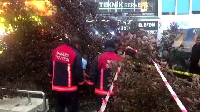 Kızılay'da metro çıkışında ağaç devrildi: 3 yaralı (3)