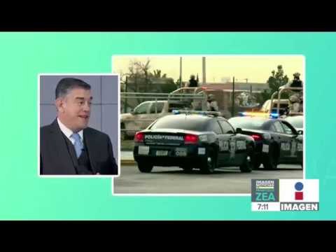 ¿La Guardia Nacional es la respuesta a la inseguridad en México? | Noticias con Francisco Zea