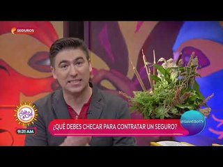 ¿Qué debes checar antes de contratar un seguro? | Sale el Sol