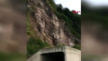 ARTVİN Karadeniz Sahil Yolu'nda heyelan korkuttu